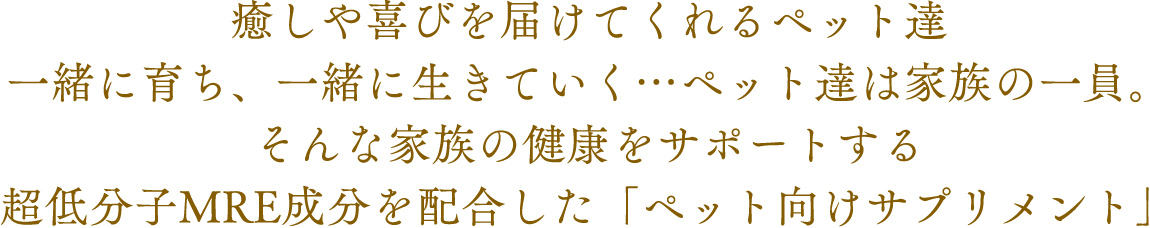 癒しや喜びを届けてくれるペット達。一緒に育ち、一緒に生きていく・・・ペット達は家族の一員。そんな家族の健康をサポートする超低分子MRE成分を配合した「ペット向けサプリメント」。